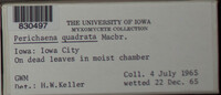 Image Associated With the Occurence